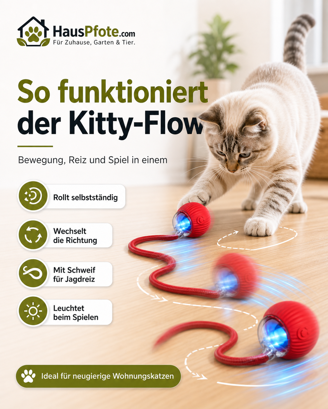 Kitty-Flow Jagdball – selbstrollender Katzenball gegen Langeweile