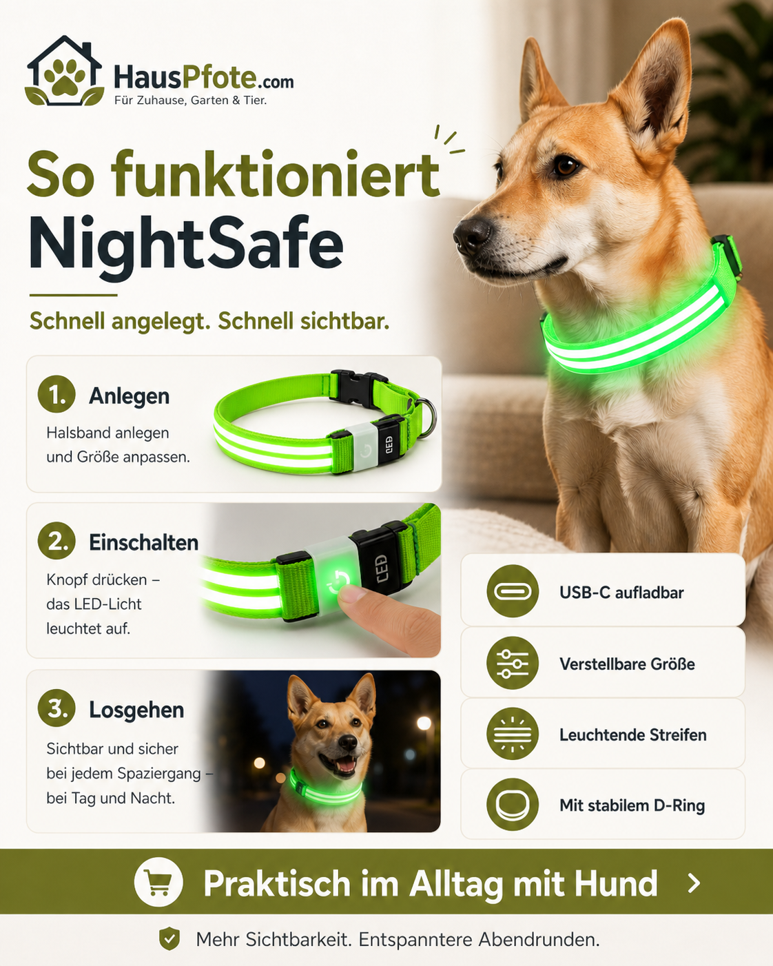 NightSafe LED-Hundehalsband – besser sichtbar im Dunkeln