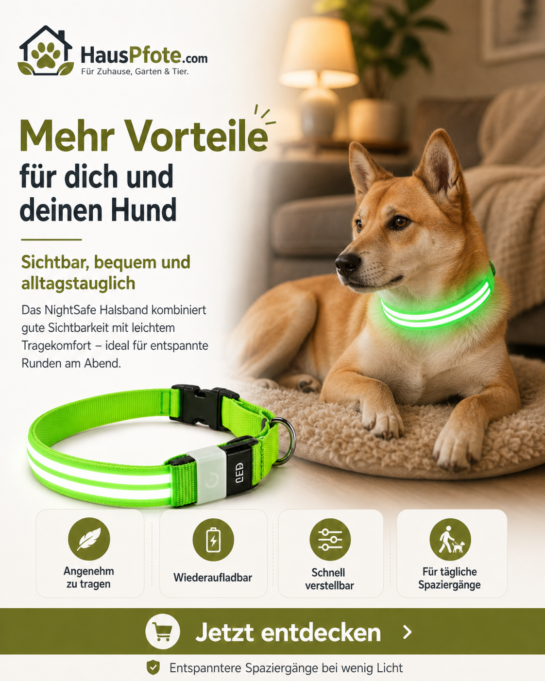 NightSafe LED-Hundehalsband – besser sichtbar im Dunkeln