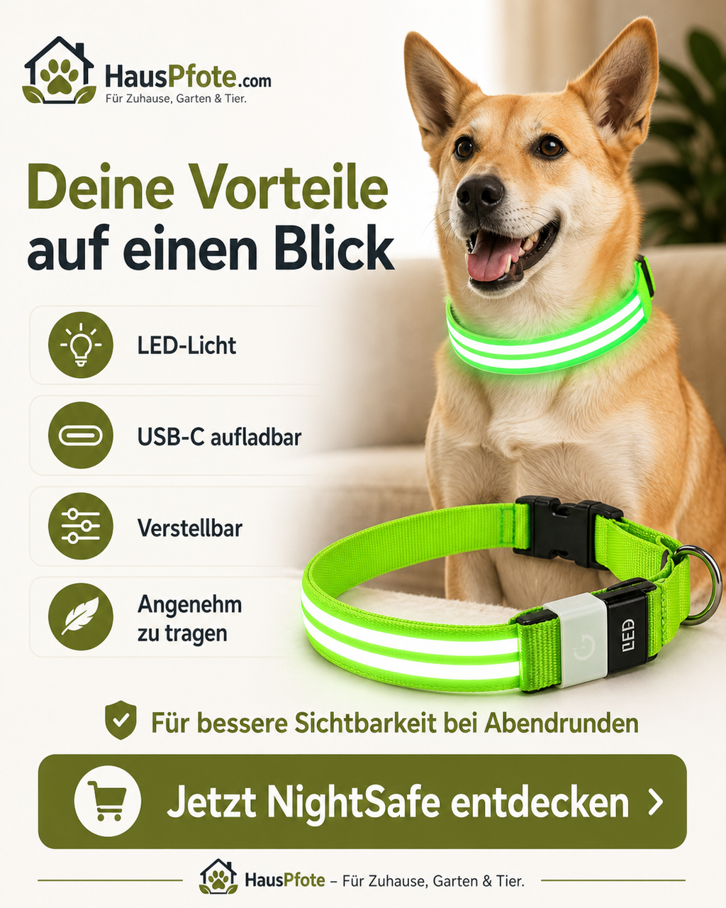 NightSafe LED-Hundehalsband – besser sichtbar im Dunkeln
