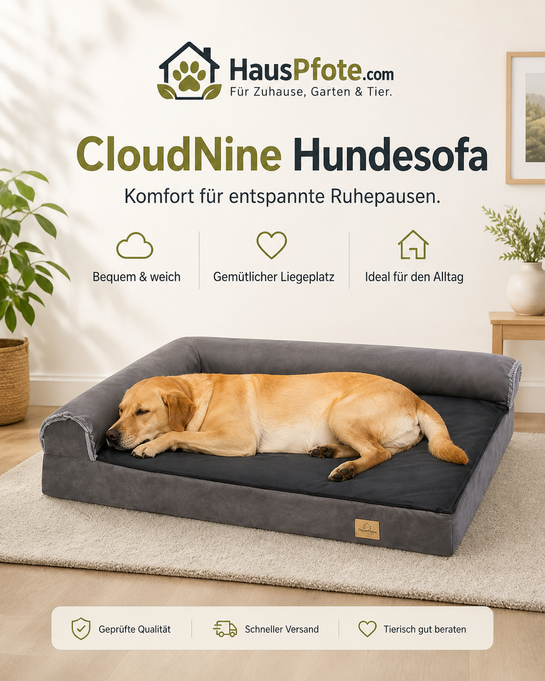 CloudNine: Orthopädisches Hundesofa