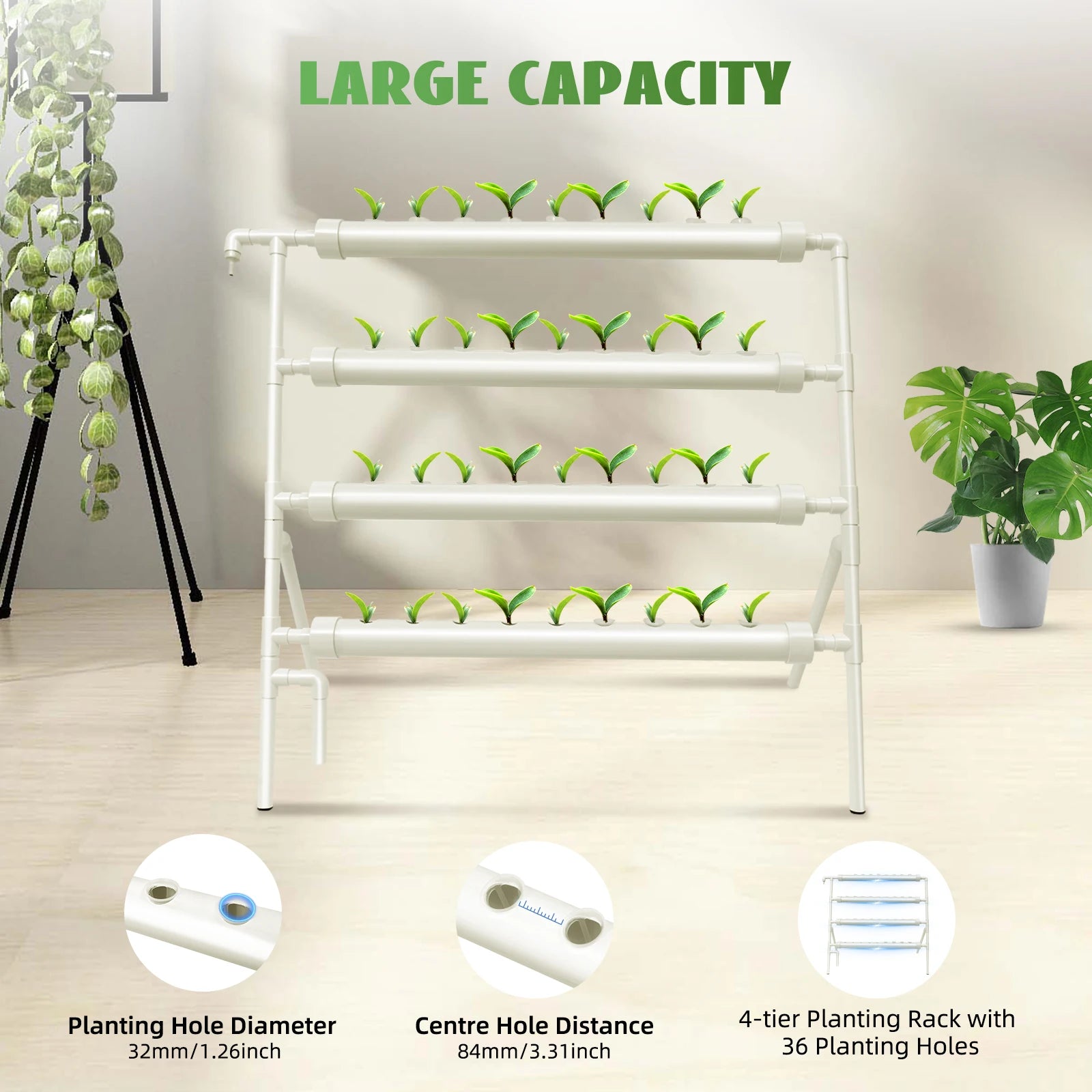 UrbanGarden: Hydroponik-System (36 Plätze)