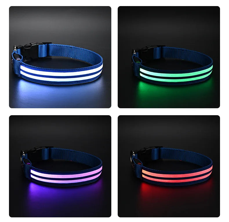 NightSafe LED-Hundehalsband – besser sichtbar im Dunkeln