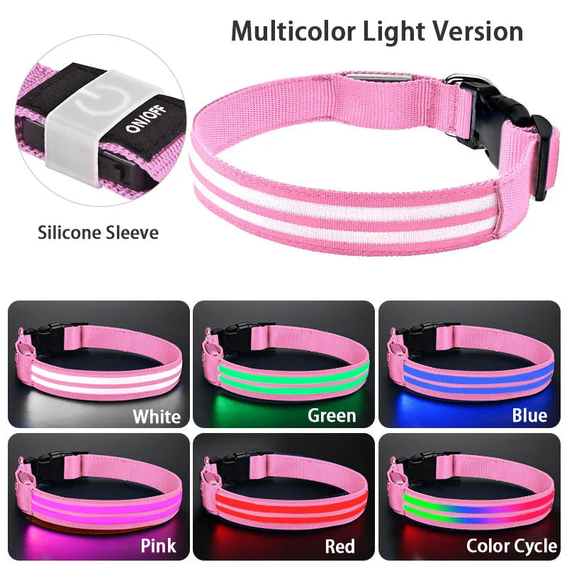 NightSafe LED-Hundehalsband – besser sichtbar im Dunkeln