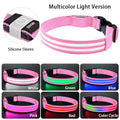 NightSafe LED-Hundehalsband – besser sichtbar im Dunkeln