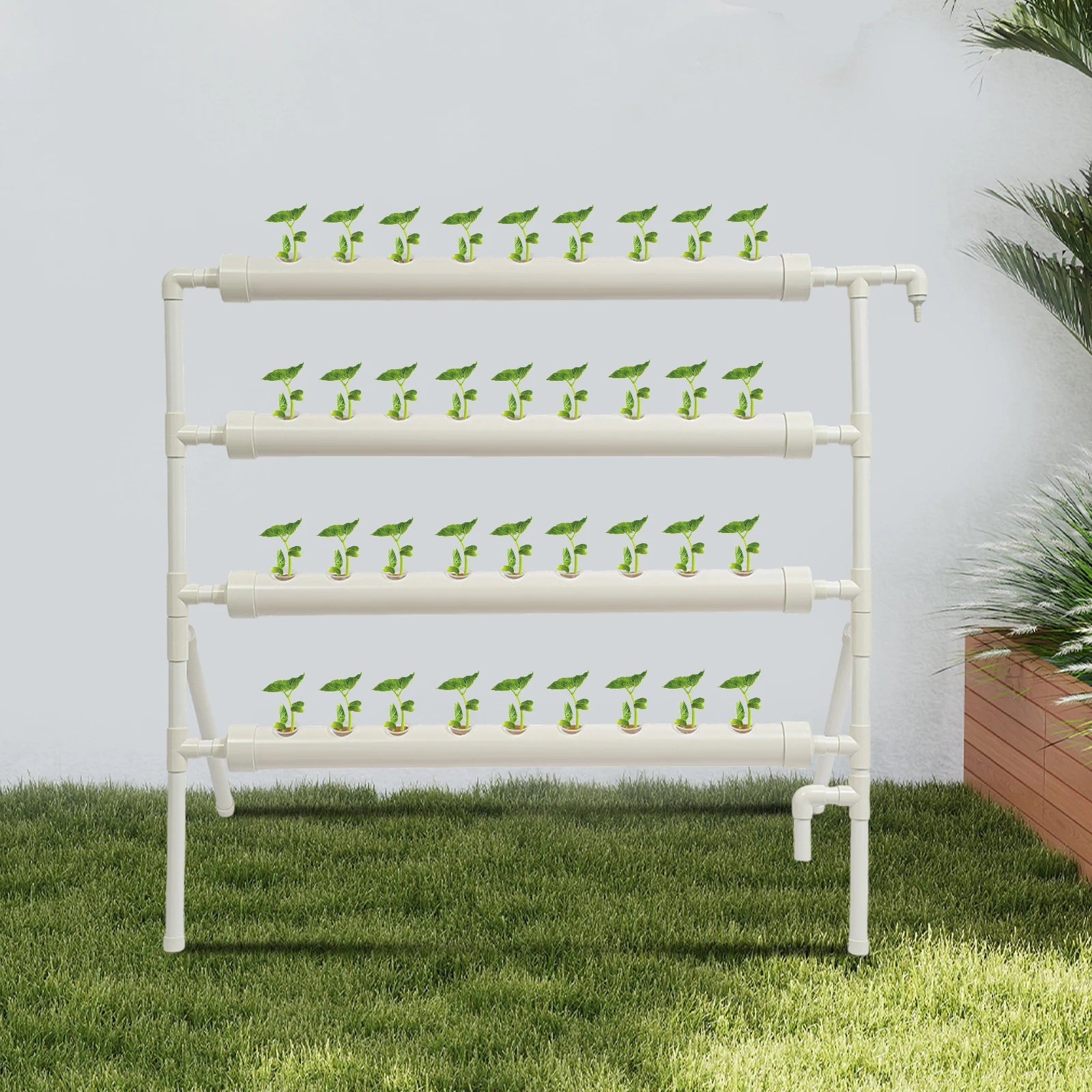 UrbanGarden: Hydroponik-System (36 Plätze)