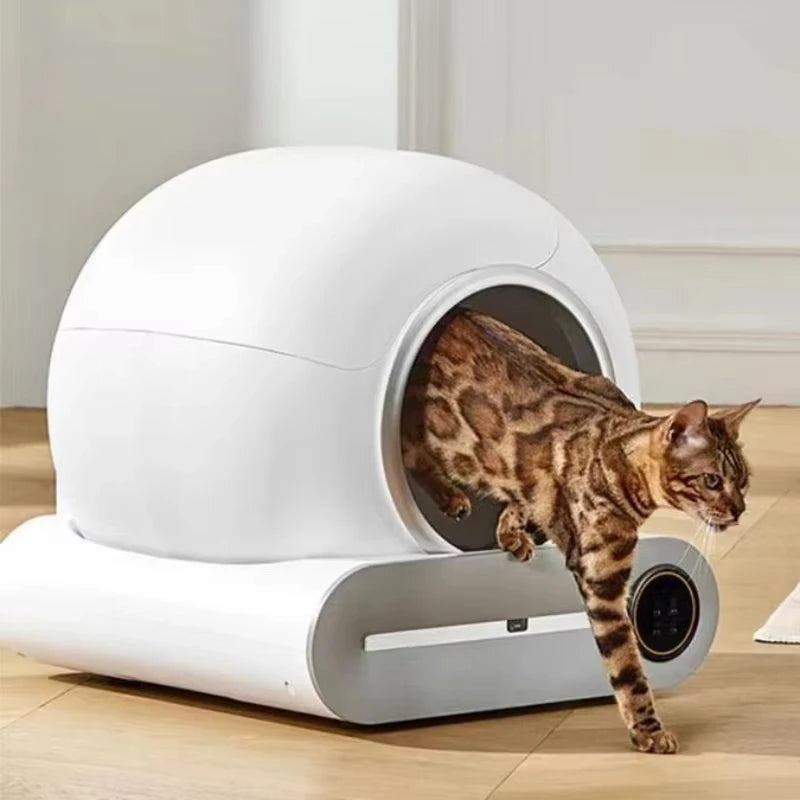 Automatische Katzentoilette mit App-Steuerung