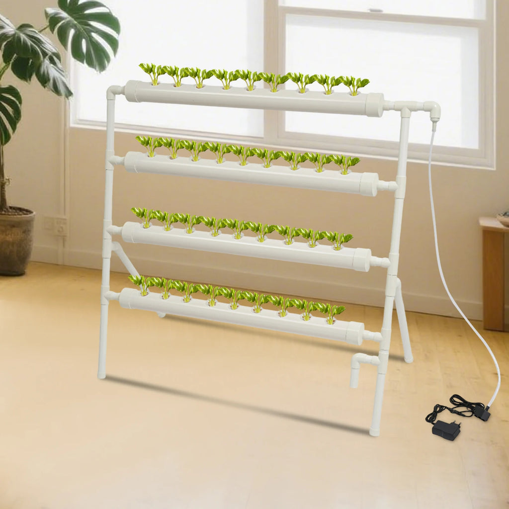 UrbanGarden: Hydroponik-System (36 Plätze)
