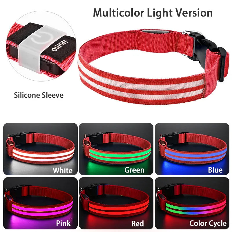 NightSafe LED-Hundehalsband – besser sichtbar im Dunkeln