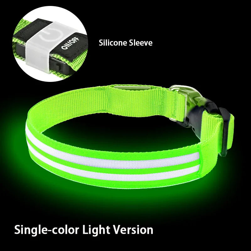 NightSafe LED-Hundehalsband – besser sichtbar im Dunkeln