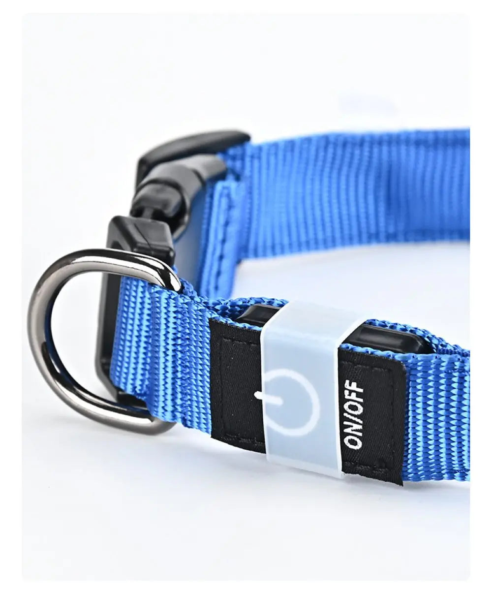 NightSafe LED-Hundehalsband – besser sichtbar im Dunkeln