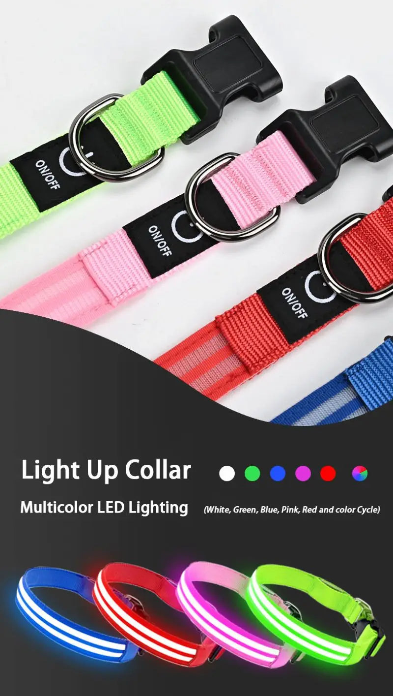 NightSafe LED-Hundehalsband – besser sichtbar im Dunkeln