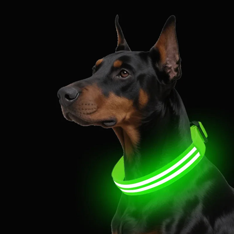 NightSafe LED-Hundehalsband – besser sichtbar im Dunkeln