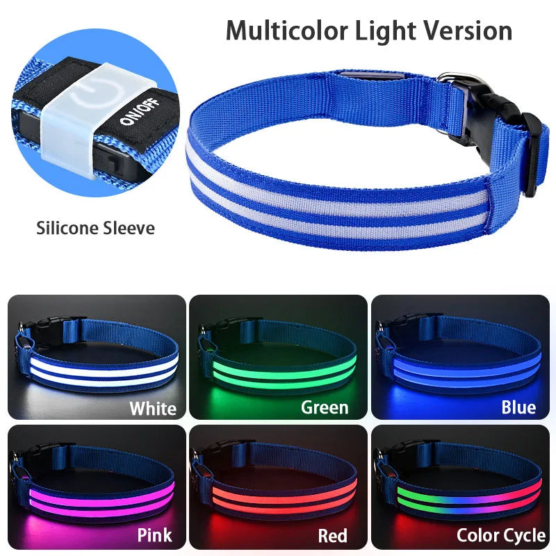 NightSafe LED-Hundehalsband – besser sichtbar im Dunkeln