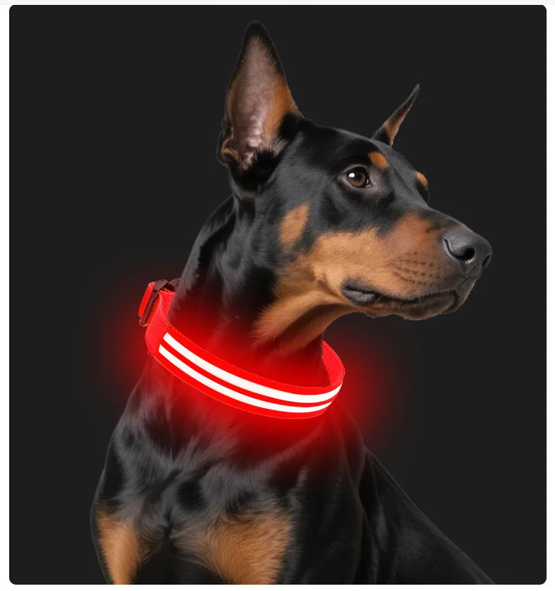 NightSafe LED-Hundehalsband – besser sichtbar im Dunkeln