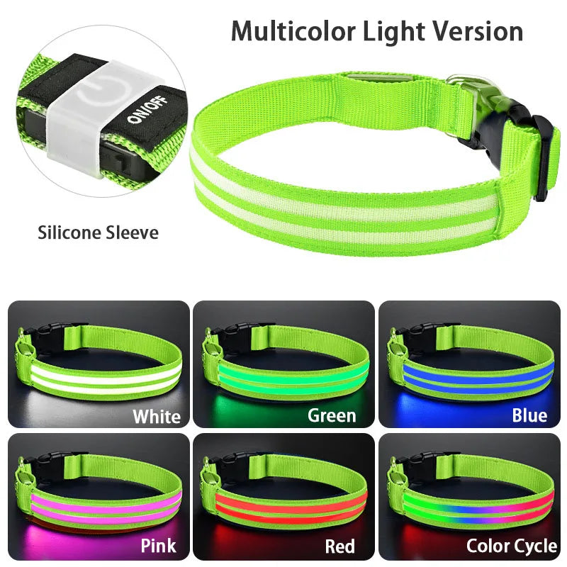 NightSafe LED-Hundehalsband – besser sichtbar im Dunkeln