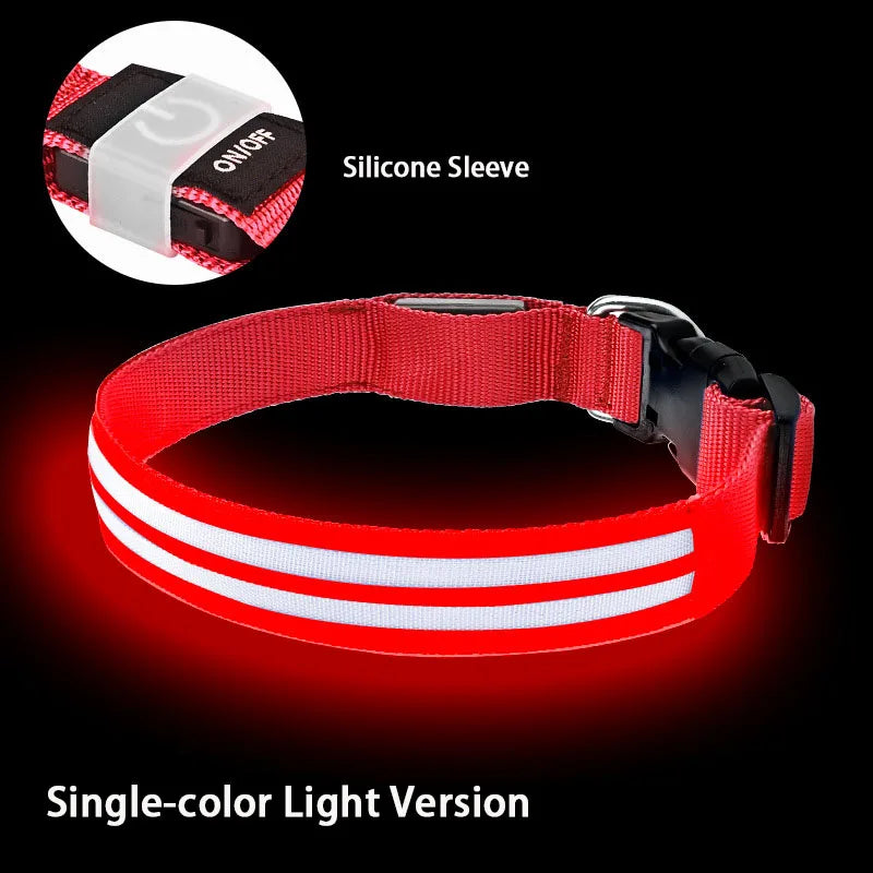 NightSafe LED-Hundehalsband – besser sichtbar im Dunkeln