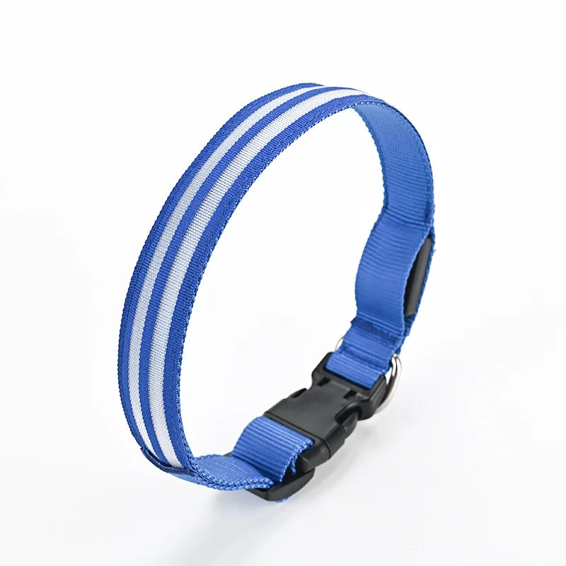 NightSafe LED-Hundehalsband – besser sichtbar im Dunkeln