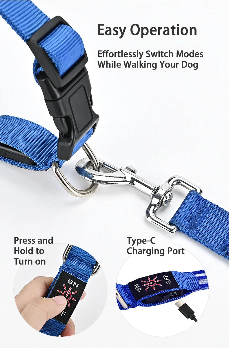 NightSafe LED-Hundehalsband – besser sichtbar im Dunkeln
